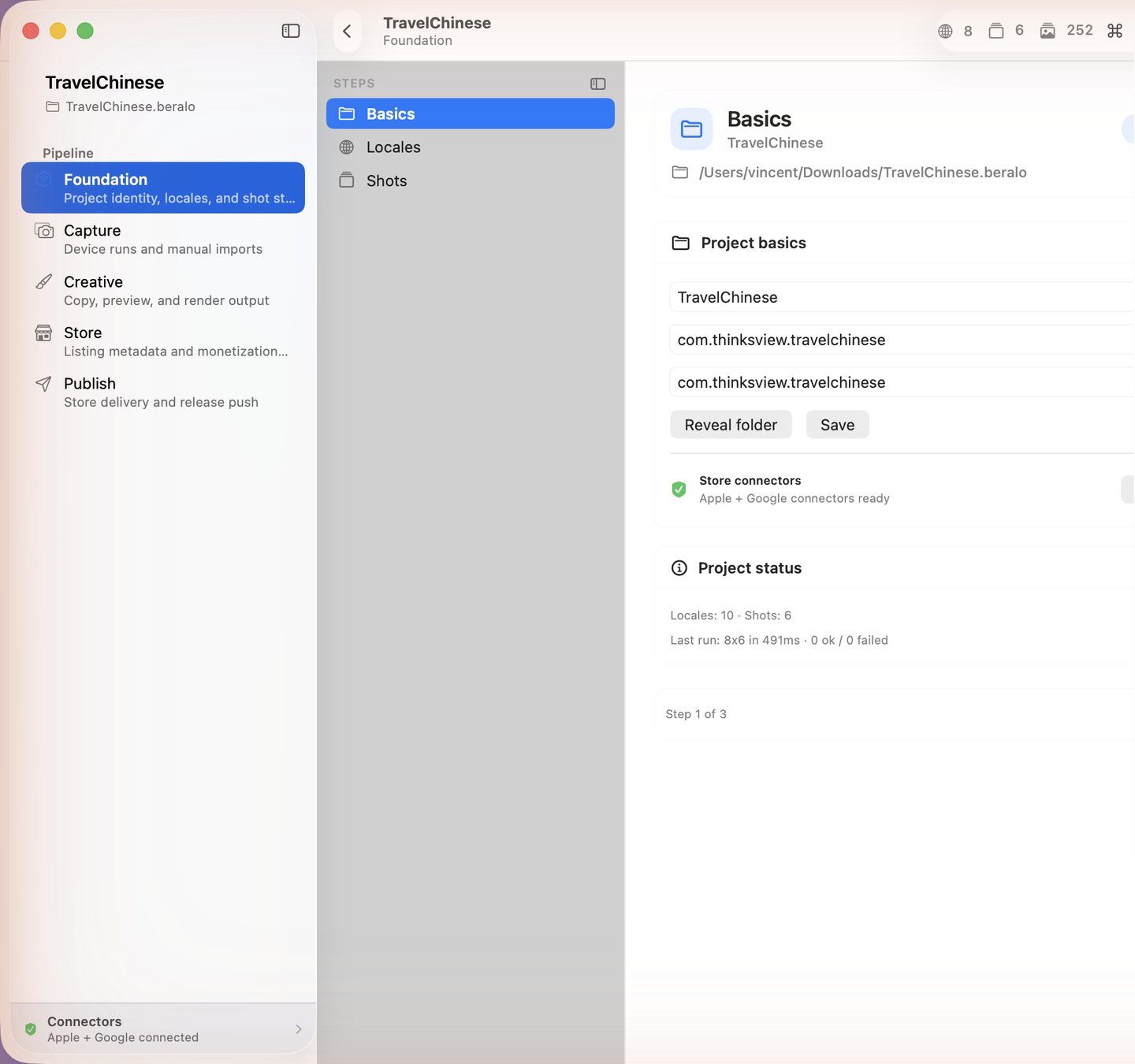 Foundation · Basics — identity, connectors, and project status.